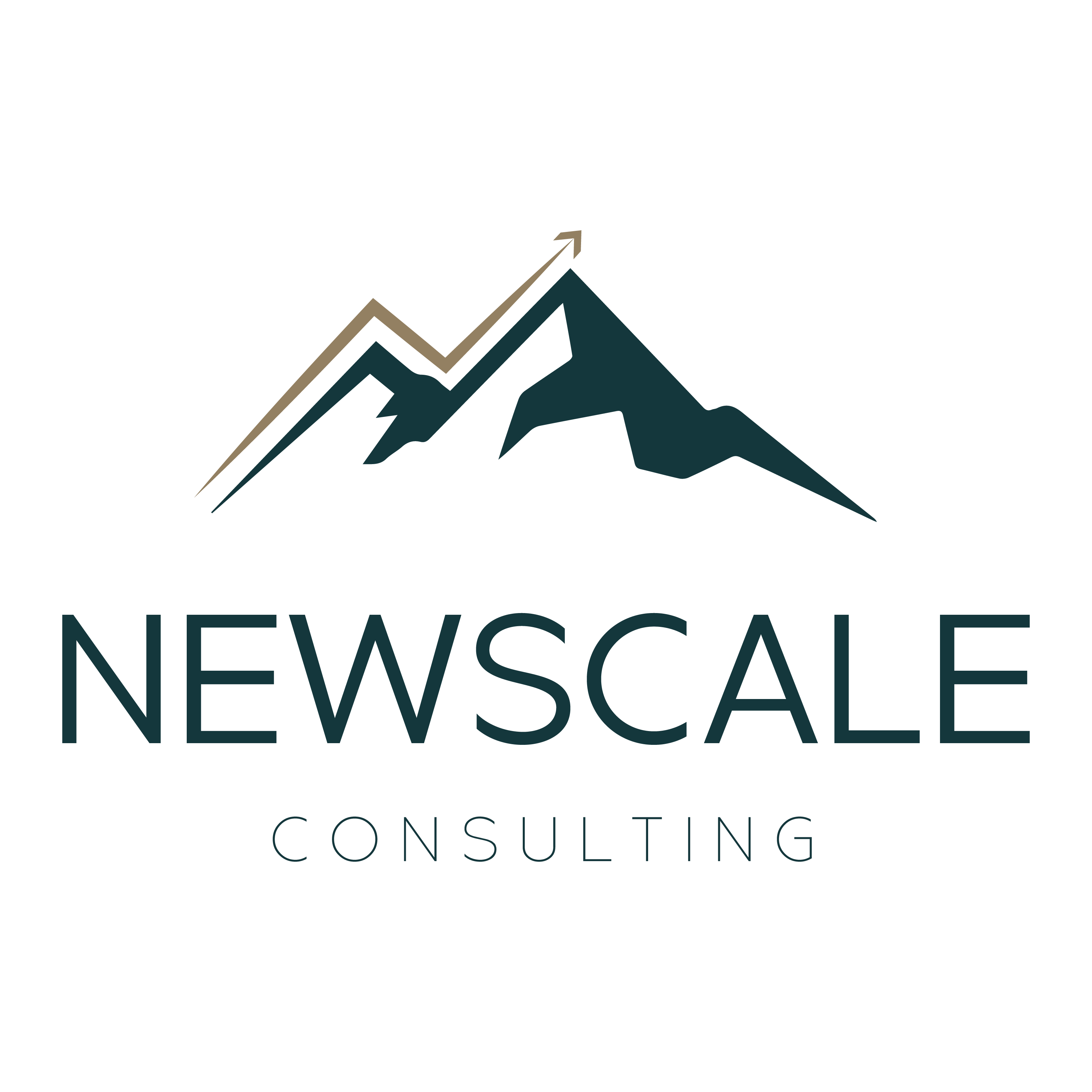 Logo da Newscale Consulting